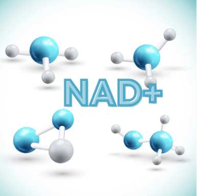تزریق NAD+